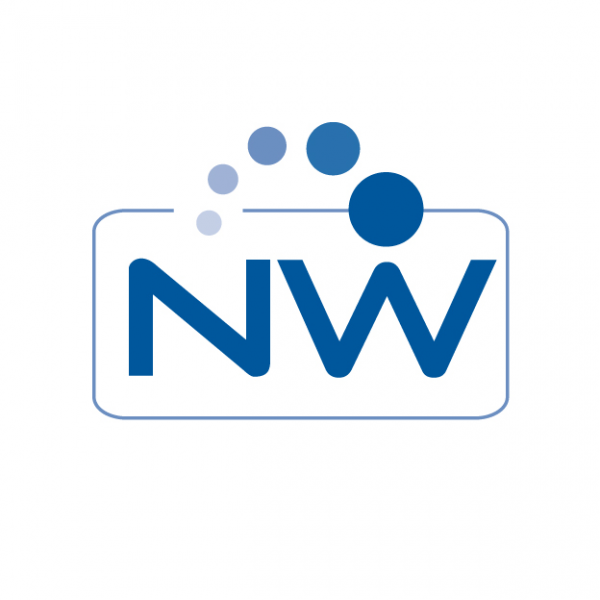 Logo-marca para Network, centro formativo